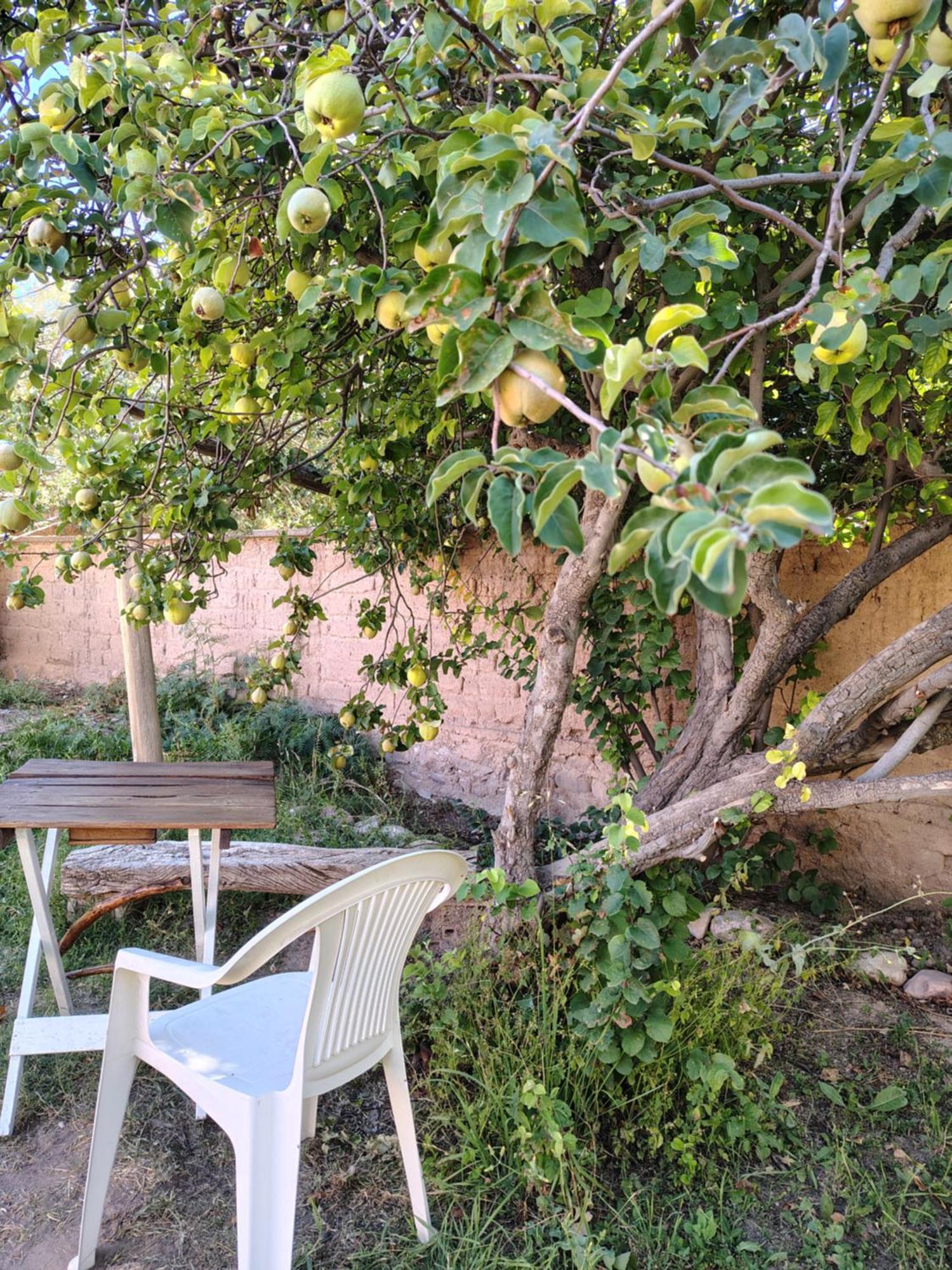 Inti Sayana Hostel Humahuaca Exterior photo